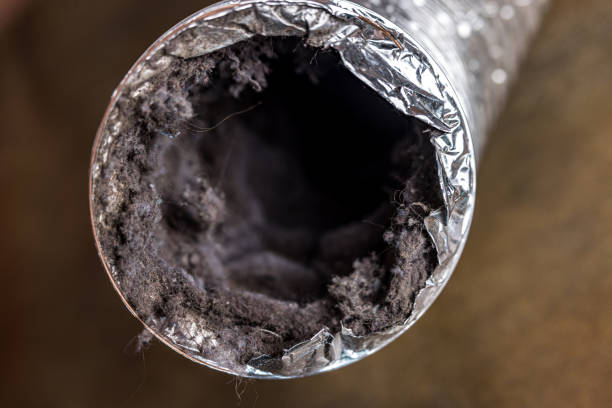 Best Professional Duct Cleaning Services  in Santa Anna, TX