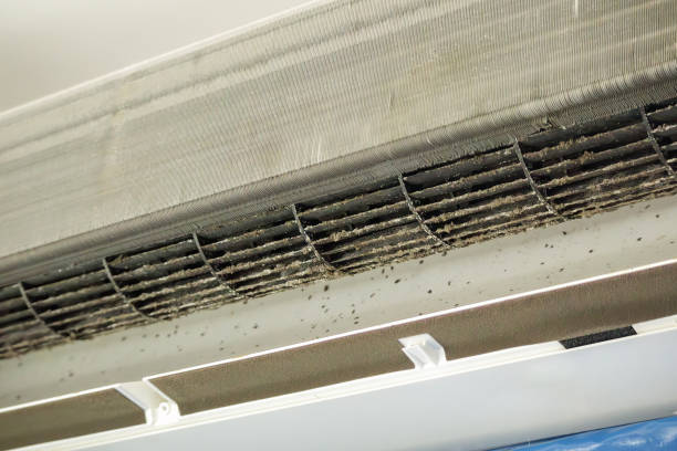 Best Air Duct Cleaning Company Near Me  in Santa Anna, TX